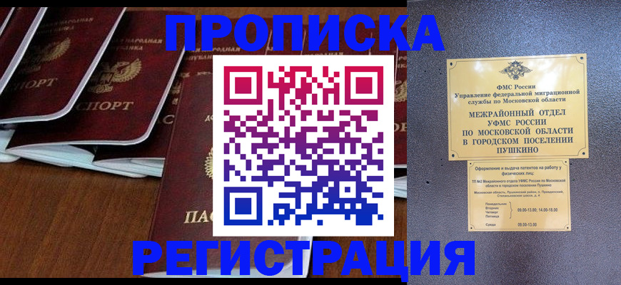 прописка иностранных граждан в Мурманской области